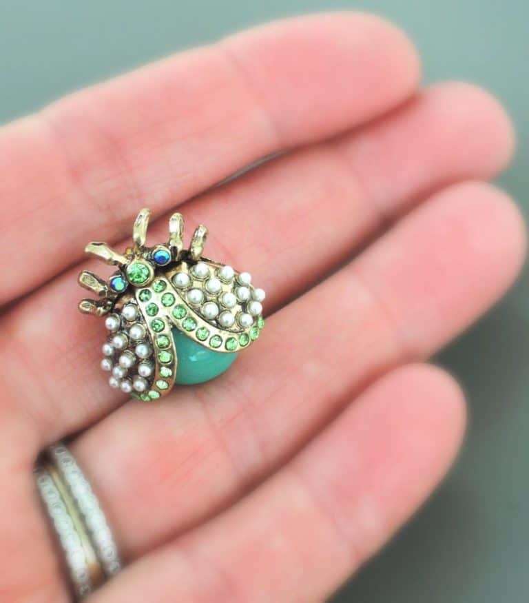 6 year wedding anniversary gift: vintage ladybug stud earrings
