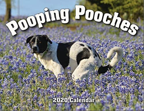 Pooping Pooches Wgag gift calendar -silly gift idea