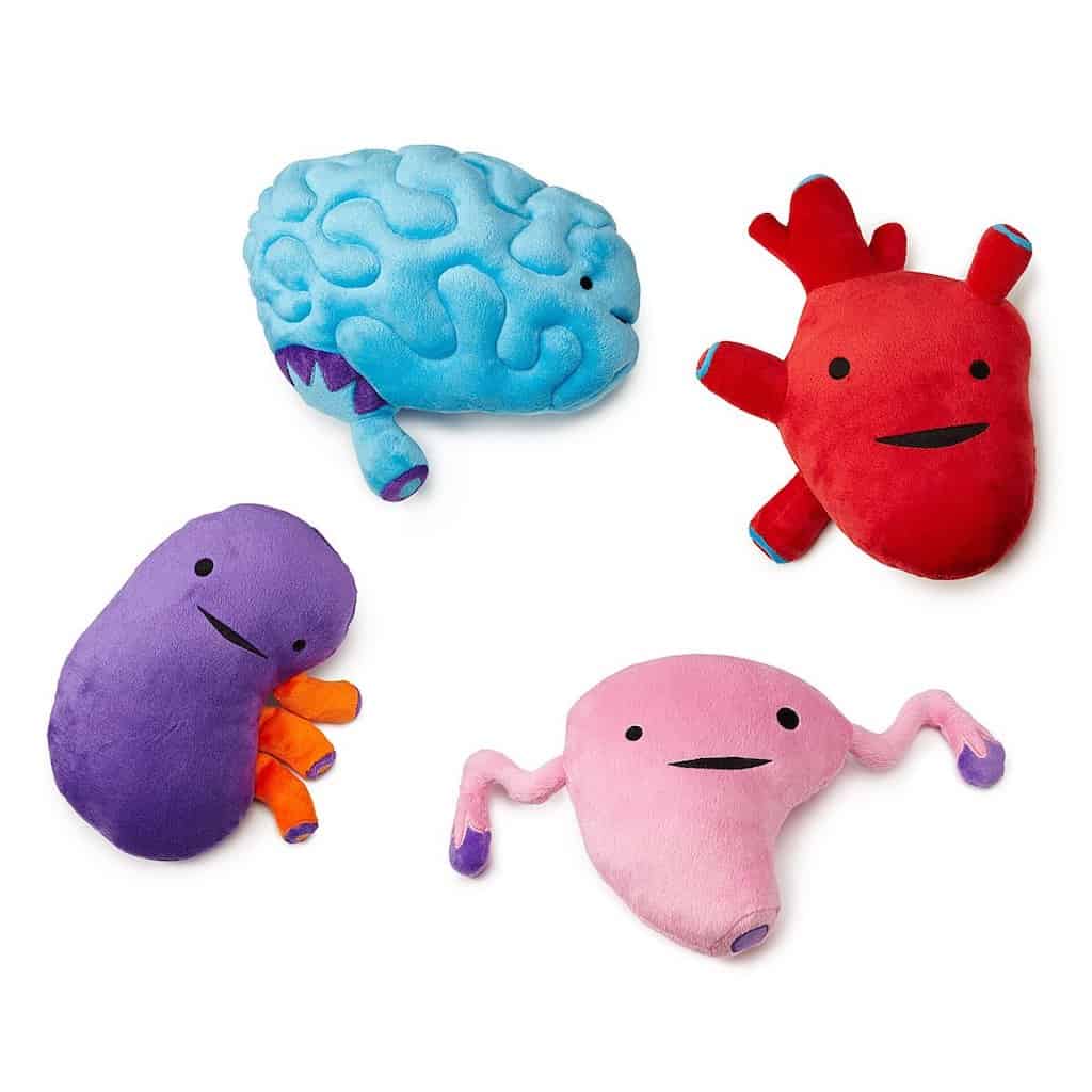 Plush Organs - Funny Plush Toys For Nurses