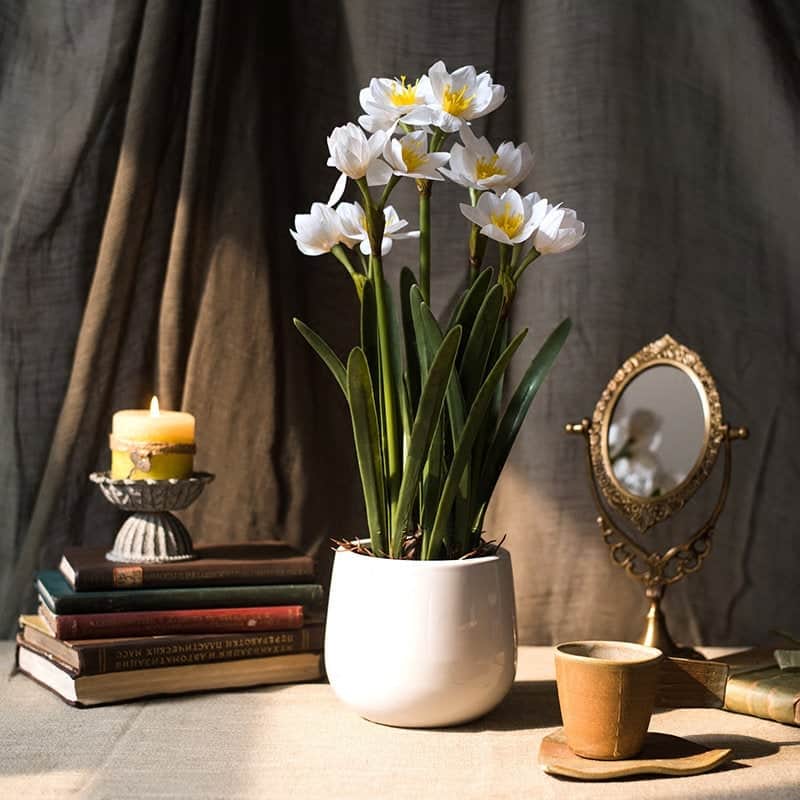 10th anniversary flower gift: real touch daffodil bonsai
