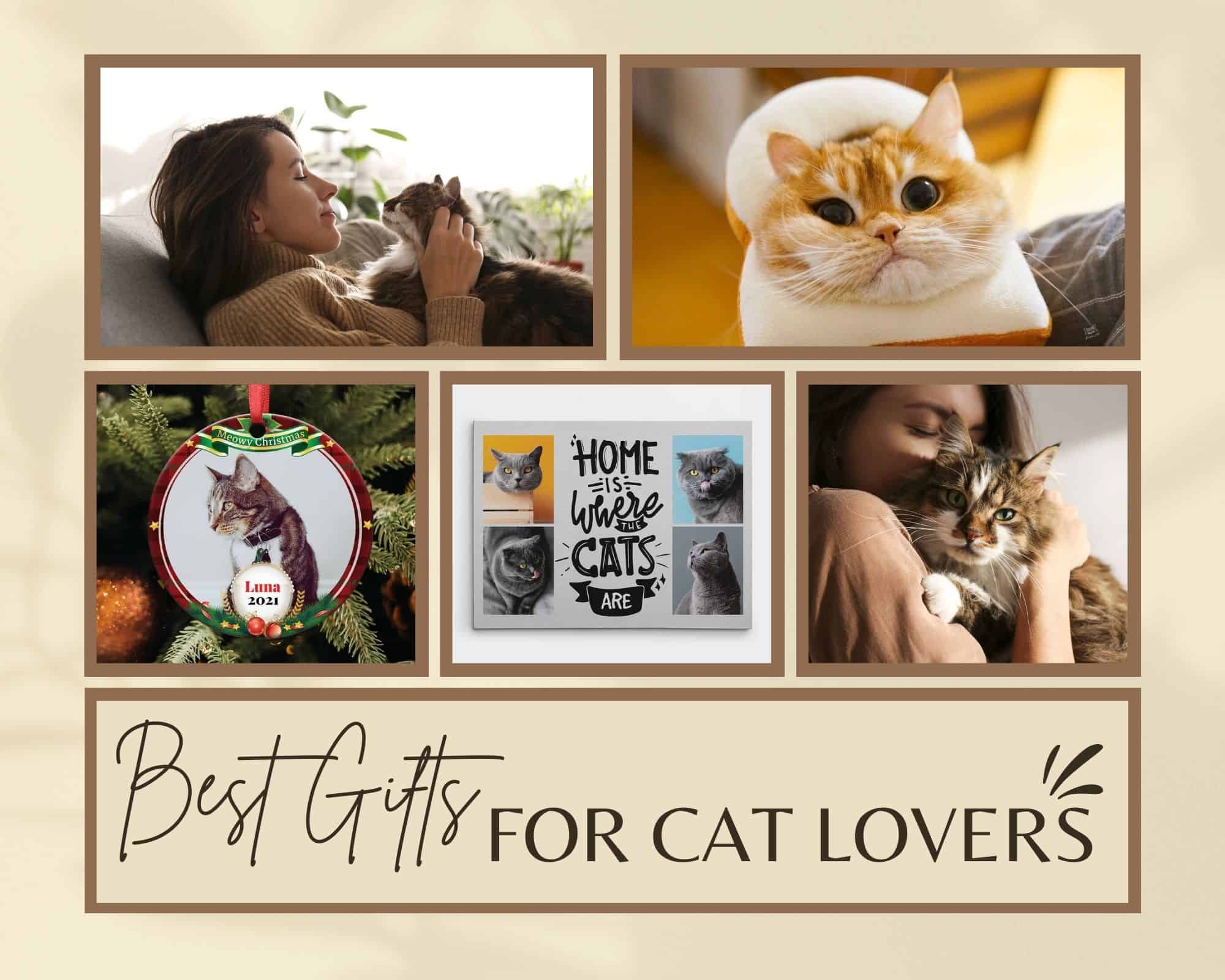 50 Best Gifts for Cat Lovers in 2022: Cat-Themed Gifts for Cat Owners