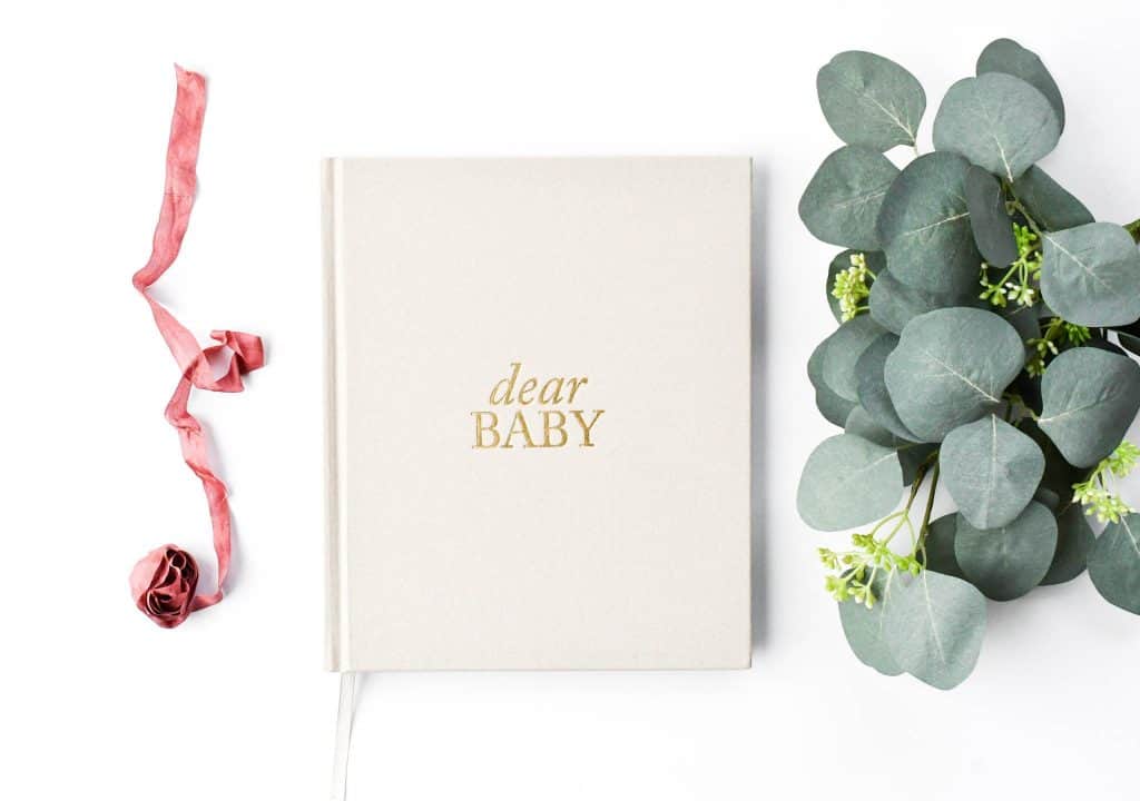 baby shower gifts for mom not baby: pregnancy journal