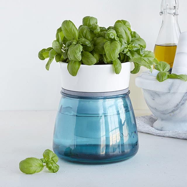 cool gifts for her: Self-Watering Kitchen Herb Pot