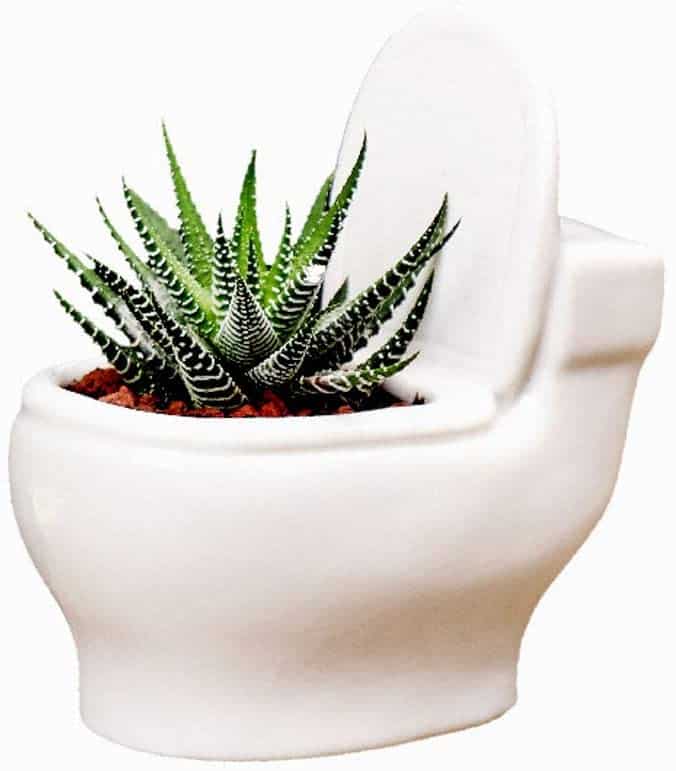 useful white elephant gift ideas: ceramic toilet plant pot