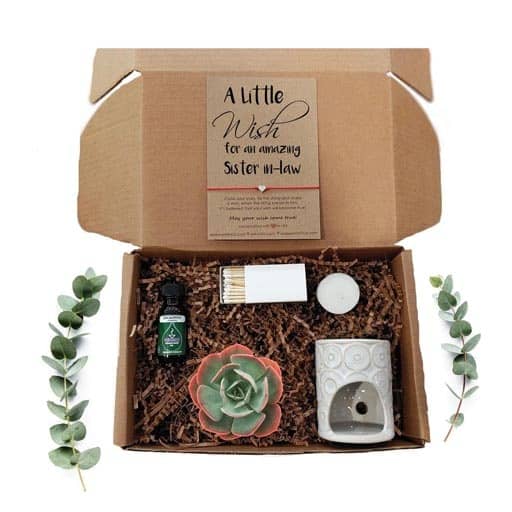 succulent gift box: gifts for unbiological sister