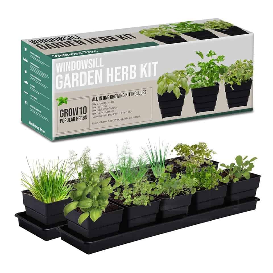 Herb Growing Kit - valentines gifts