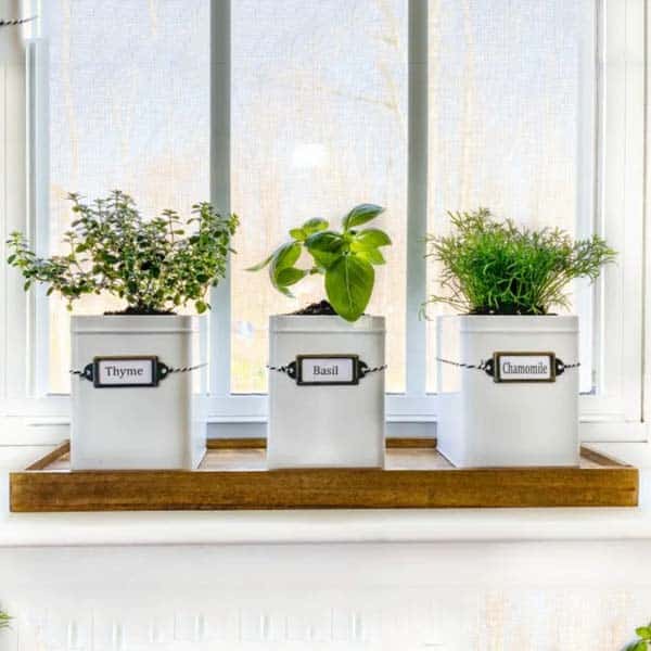 mothers day creative gift ideas: diy herb garden planter