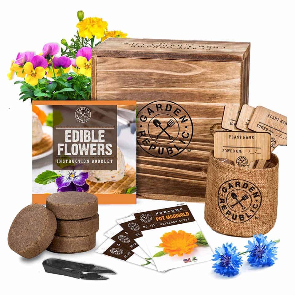 Edible Flower Seeds - mothers day gift ideas for mom from son