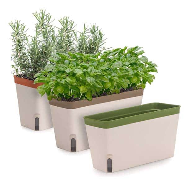 kitchen gifts: self watering herb pot