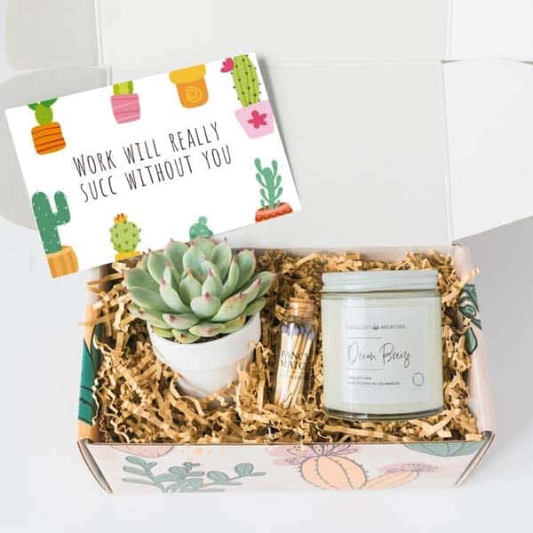 gift ideas for someone leaving a job: Work Would Succ Without You Box