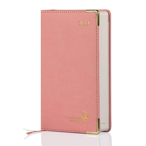 gift for college graduate female: Daily Planner