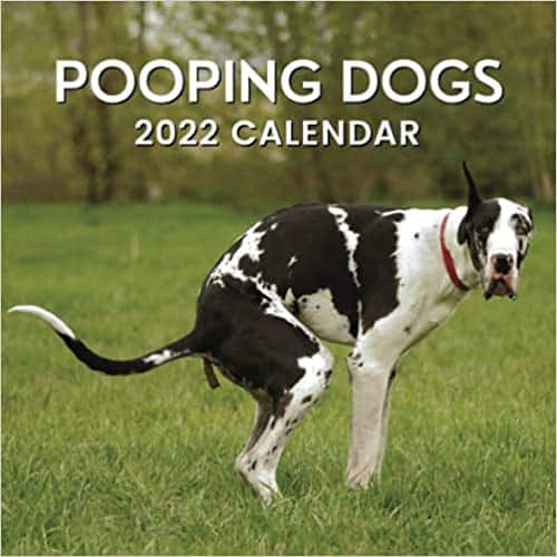 Pooping Pooches Calendar