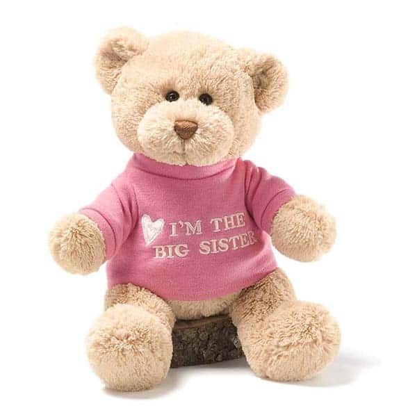 Teddy Bear: gifts for becoming a big sister