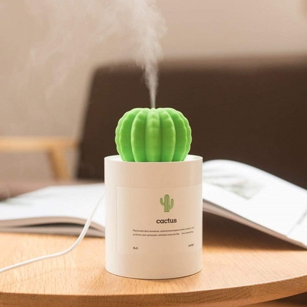 Cactus Humidifiers - good ideas for secret santa gifts