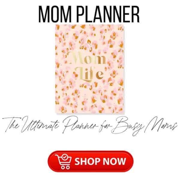 single mother gift ideas: Planner