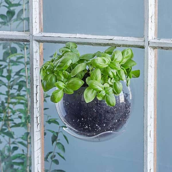 Window Plant Pod Christmas gifts for employees
