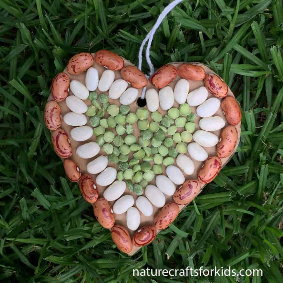 Mosaic Heart from Seeds