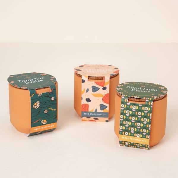 Thoughtful Terracotta Grow Kits