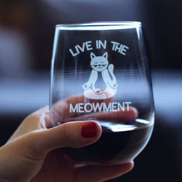 crazy cat lady gifts: Cute Stemless Wine Glass