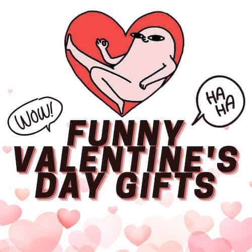 funny valentines day gift guide