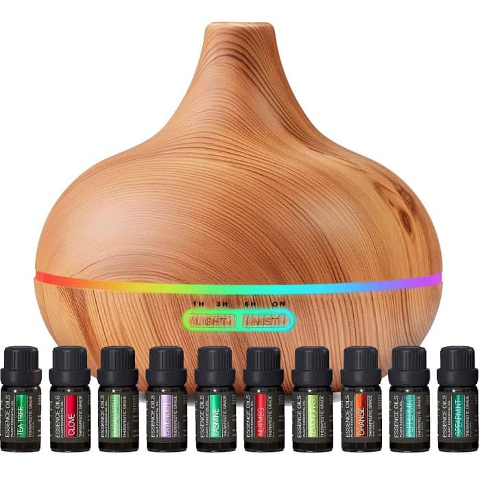 Diffuser & Essential Oil Set what to get your boyfriend's mom