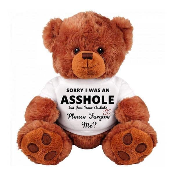 gifts to say im sorry: Forgive Me Teddy Bear