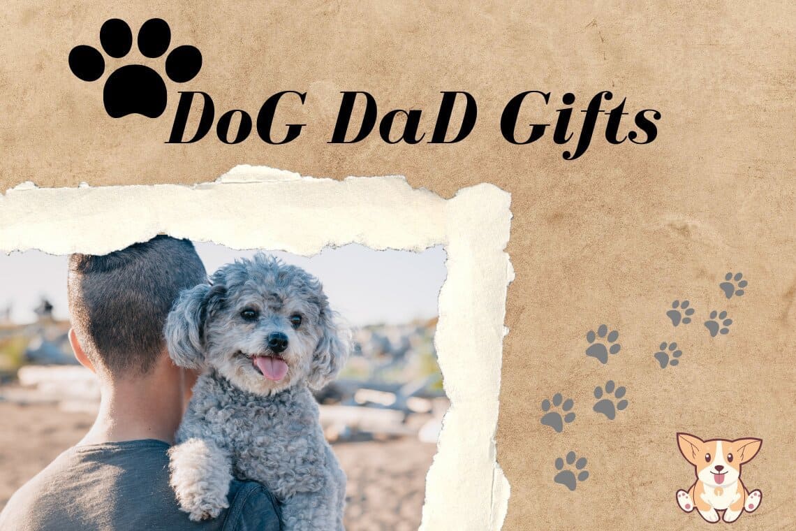 28+ Awesome Dog Dad Gifts for All Occasions In 2023