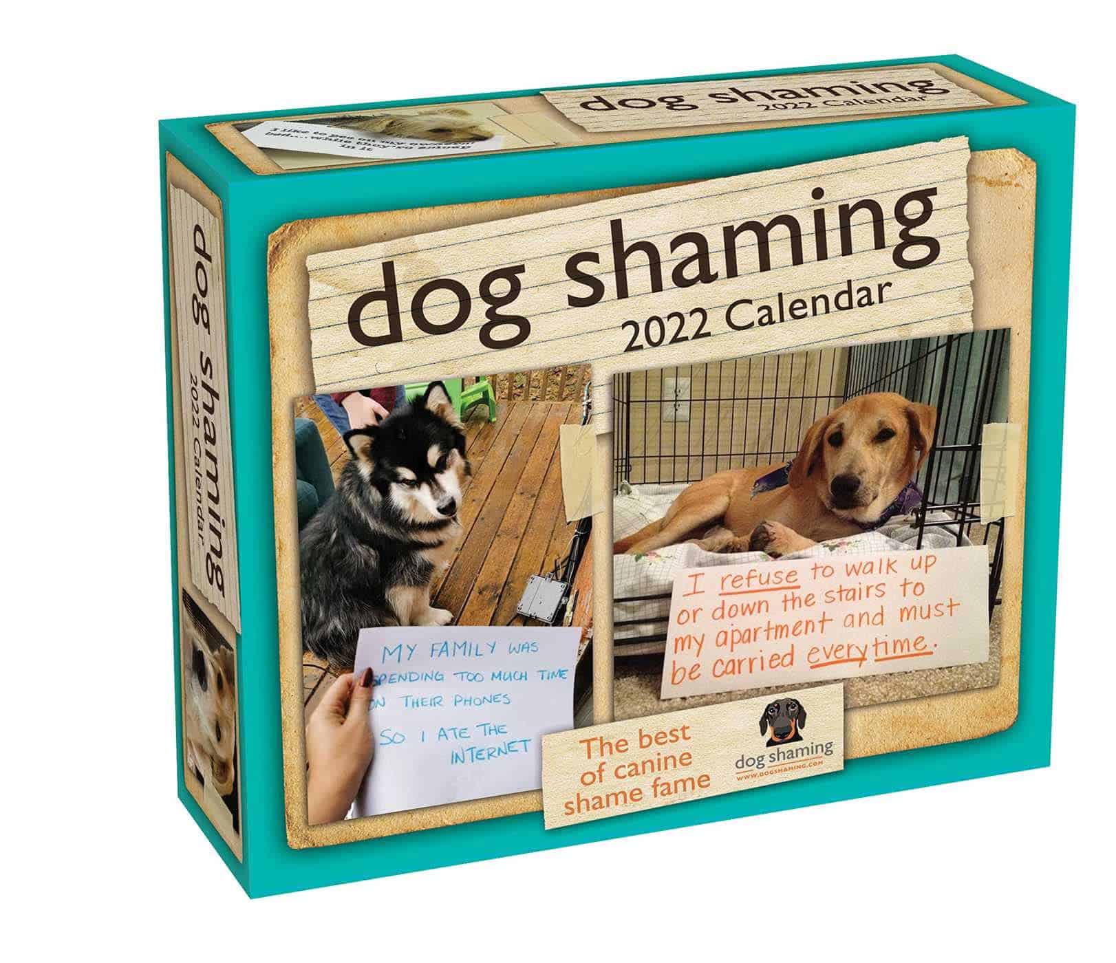 Dog Shaming Calendar 2022