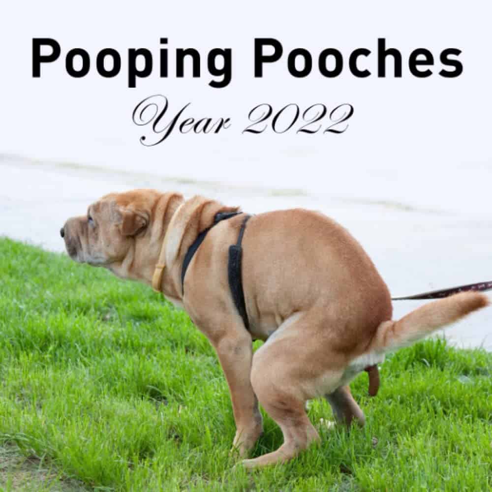 silly gag gift: Pooping Pooches 2022 Calendar