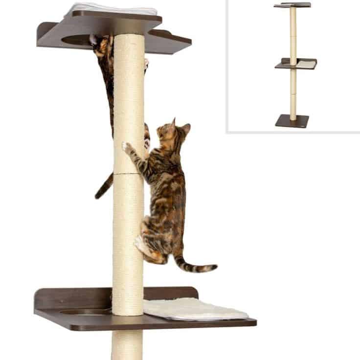 cat stuff for cat lovers: Cat Scratching Post