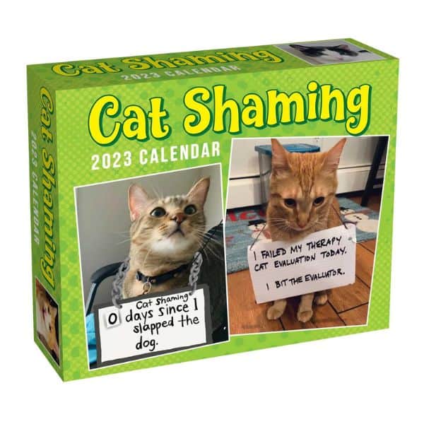 cat gifts: Cat Shaming 2023 Day-To-Day Calendar