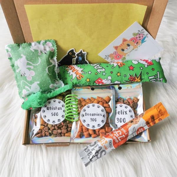 gift for cat owner: Cat Toy and Treat Gift Box