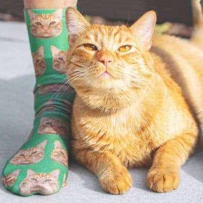 cat gift: Custom Cat Face Socks