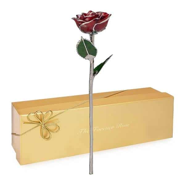 romantic things for wife: Forever Rose Hand Dipped in Platinum