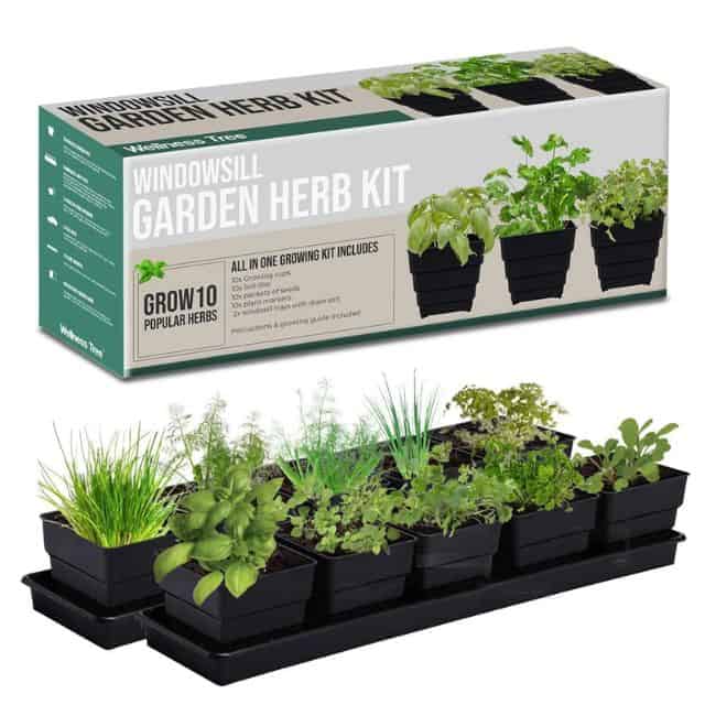 Indoor Herb Growing Kit for baby shower hostess