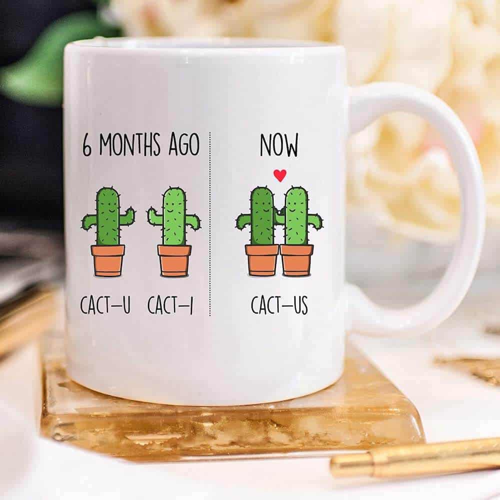 cactus 6 month anniversary funny mug for him