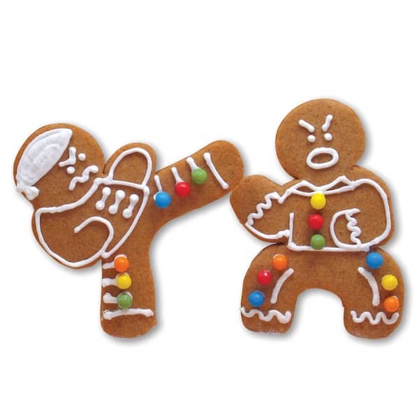 Ninjabread Gingerbread Cookie Kit Funny Christmas gifts for best friend