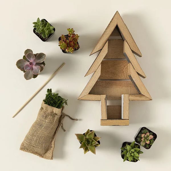 Christmas Tree DIY Succulent Kit