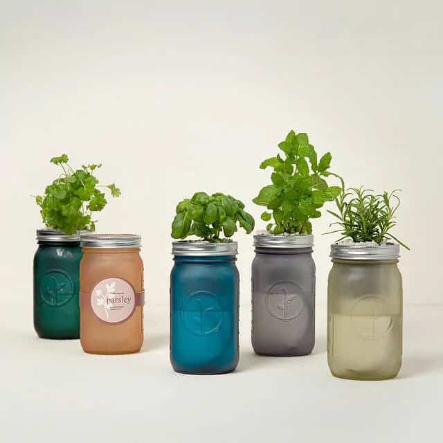 Mason Jar Indoor Herb Garden: sister christmas gift ideas