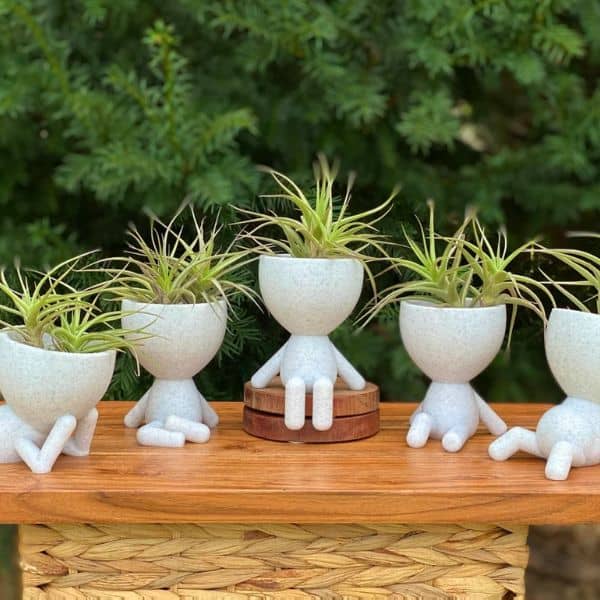 Cute Plant Pot Set: mothers day presents from daughter