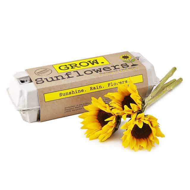 Sunflower Garden Grow Kit: quick mother's day gift ideas