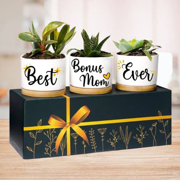 Bonus Mom Planters