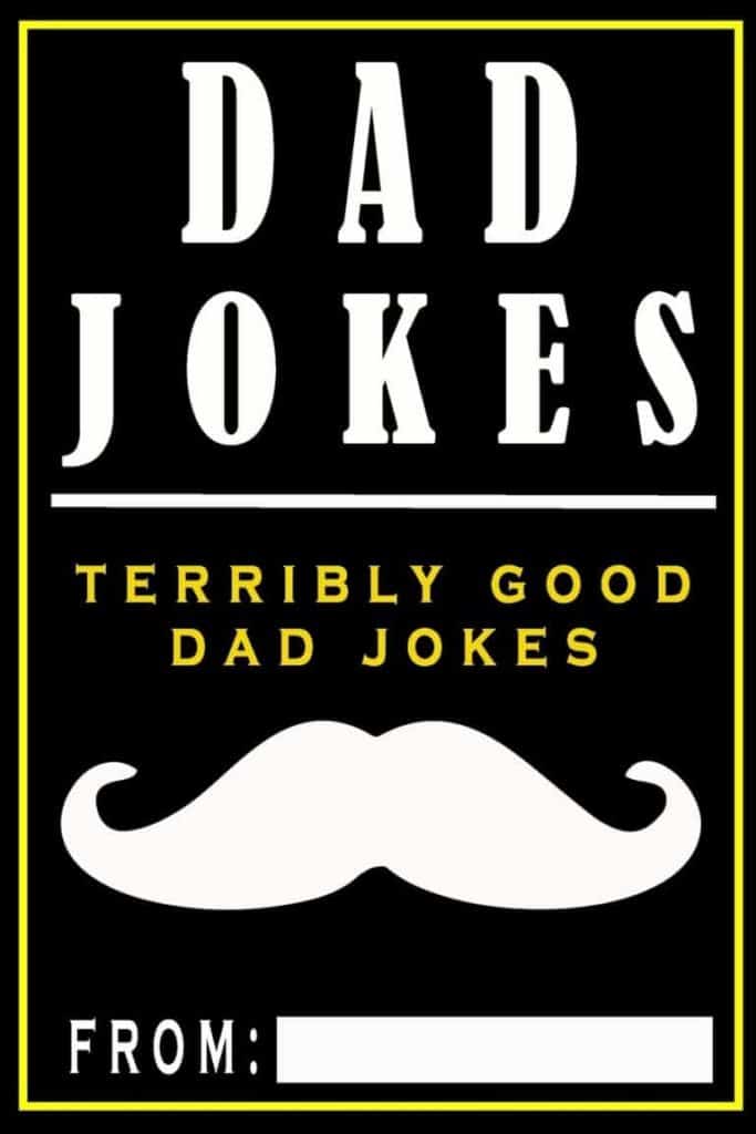 funny gifts for husband: dad jokes book