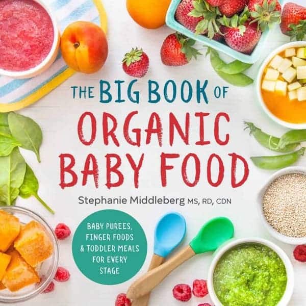 thoughtful first mother's day gift: The Big Book of Organic Baby Food 