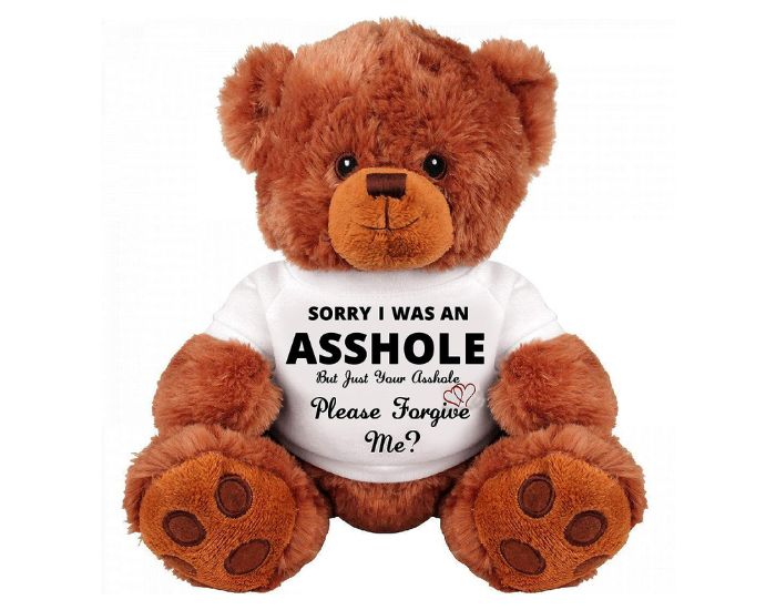 gifts to say im sorry: Forgive Me Teddy Bear