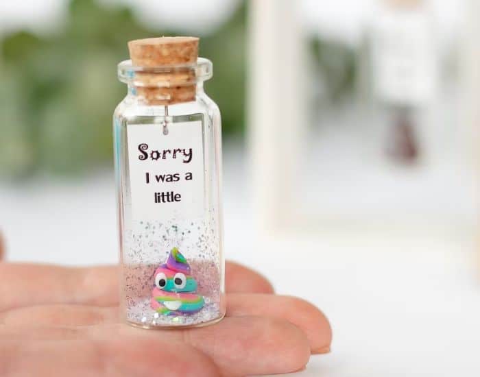 apology gifts for girlfriend: Forgive Wish Jar
