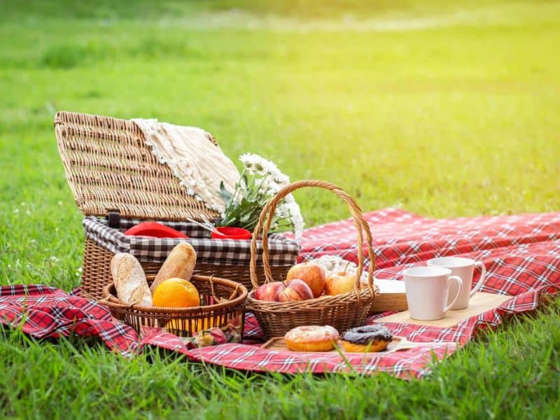 Take a Picnic - 5 month anniversary gifts