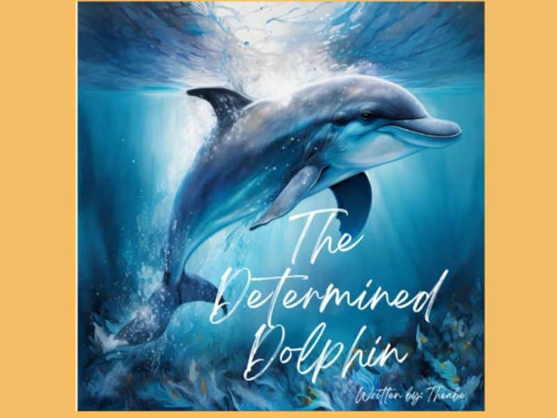 The Determined Dolphin Book - practical gifts for expecting dads